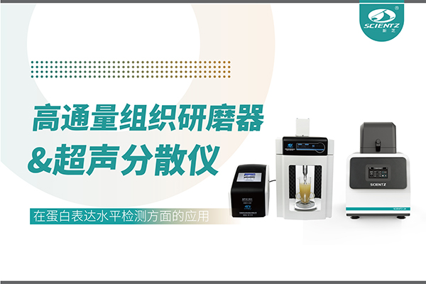 SCIENTZ-24和SCIENTZ-1500F在蛋白表達水平檢測方面的應(yīng)用