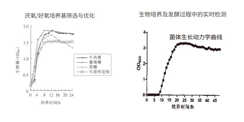 過程安全，結(jié)果精準(zhǔn)